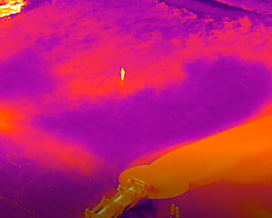 Shown is a thermal image captured by the Lower Township Police Department’s drone. Shown in the center of the image is an officer to demonstrate how the camera can distinguish between a lost person and the surrounding area.  