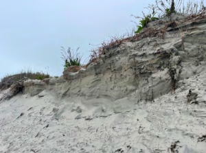 A photo sent by the city to the DEP shows how erosion caused by wave action has cut into the existing dune
