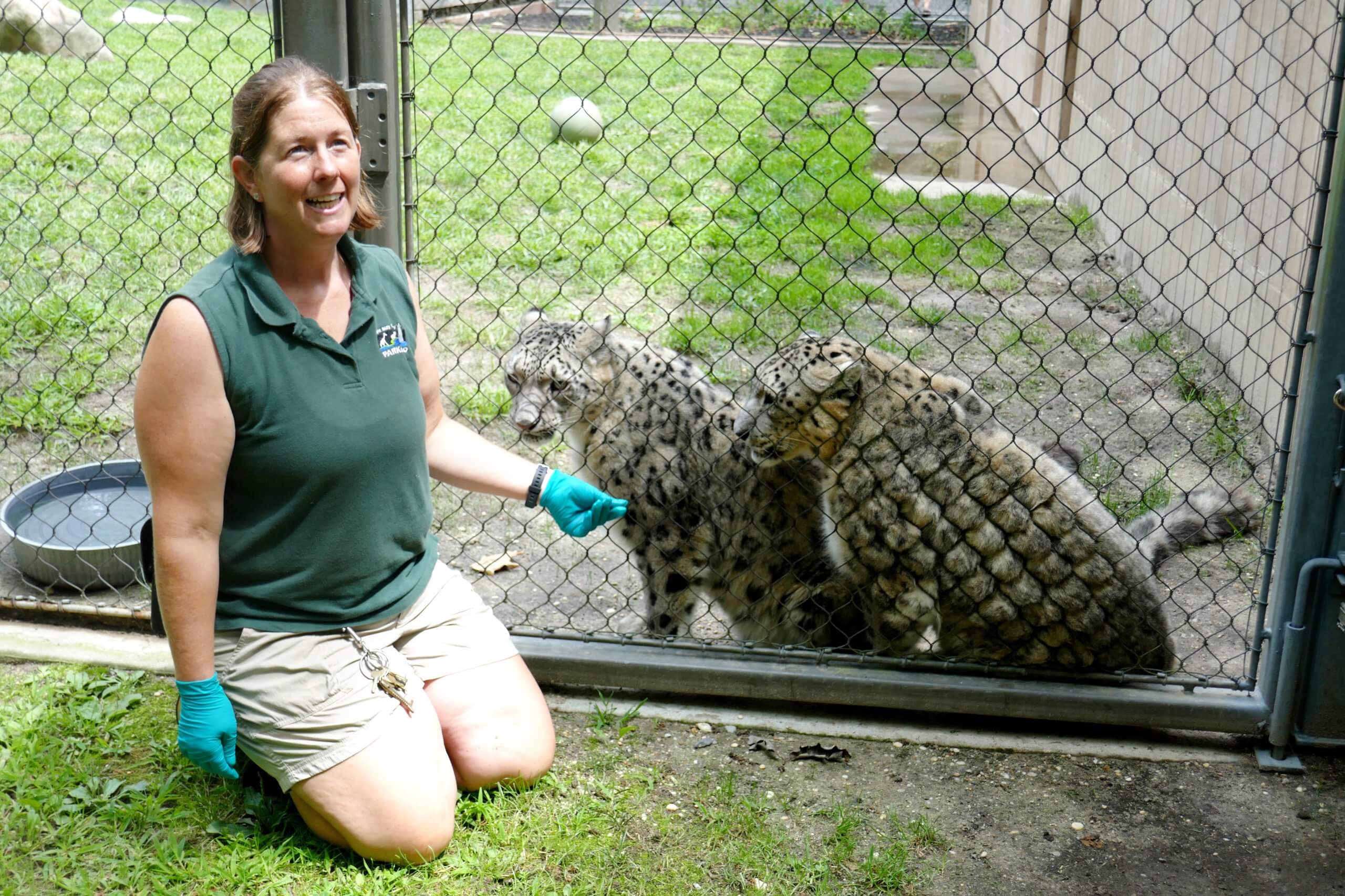 Snow Leopard  Cape May County, NJ - Official Website