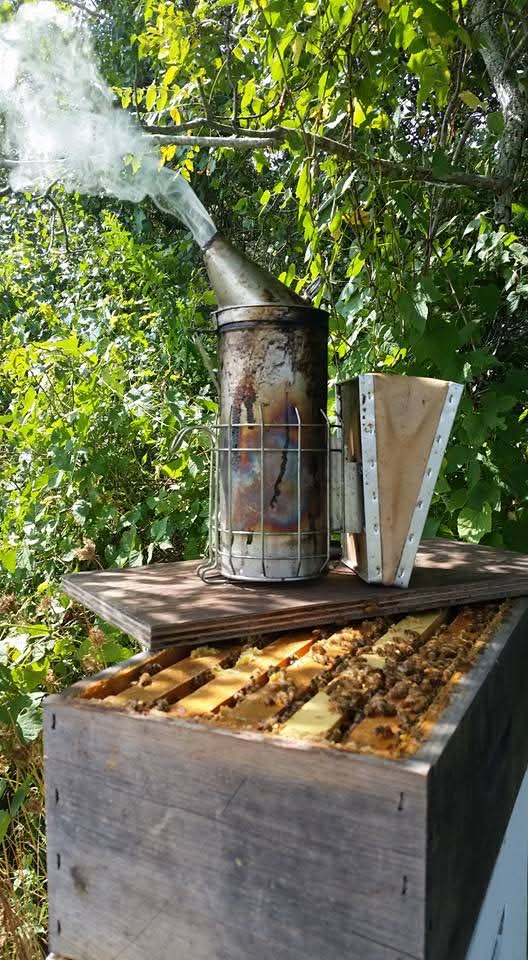 Cape May Honey Farm is the only honey producer on the Cape. 