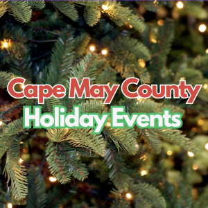 Screenshot 2025-11-12 at 3.06.08 PM